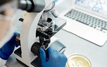 esentiala in analize microbiologie